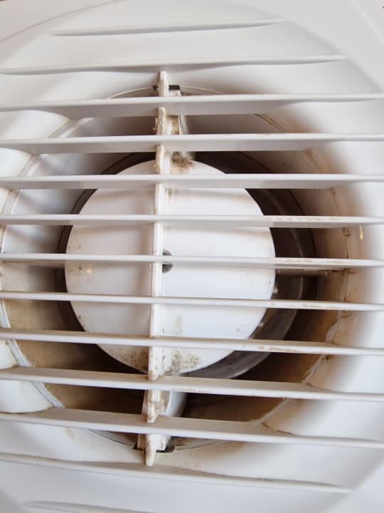 Zimmer Pickalbatros Citadel Resort