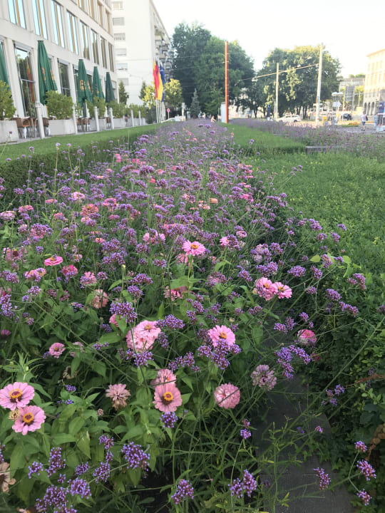 Gartenanlage Hotel Novotel Karlsruhe City