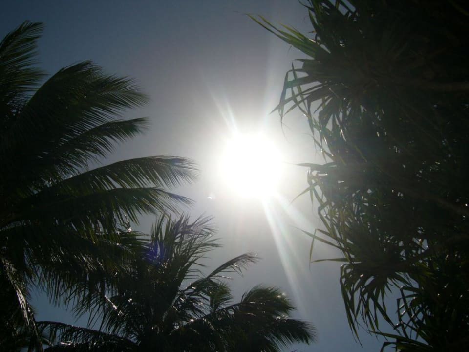 Neptune Paradise Village Neptune Paradise Beach Resort & Spa