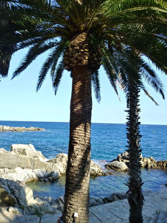 Strand Hotel GHT Neptuno