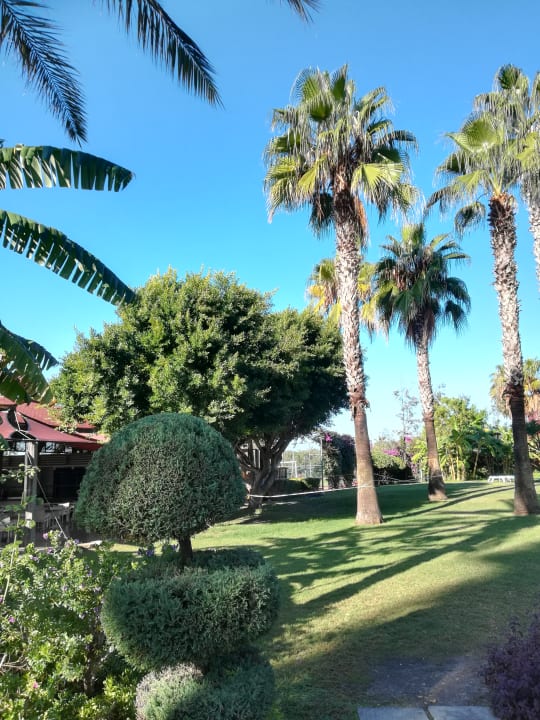 Gartenanlage Hotel Terrace Beach Resort