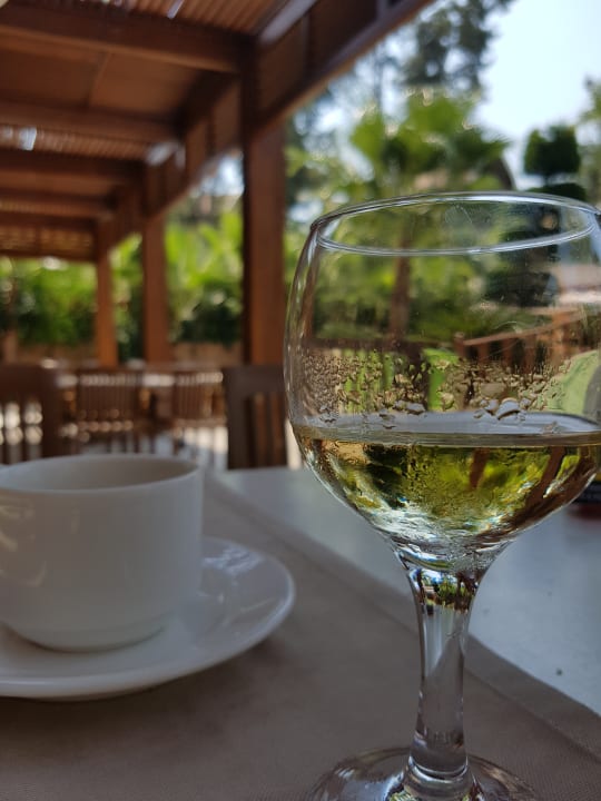 Restaurant Dizalya Palm Garden