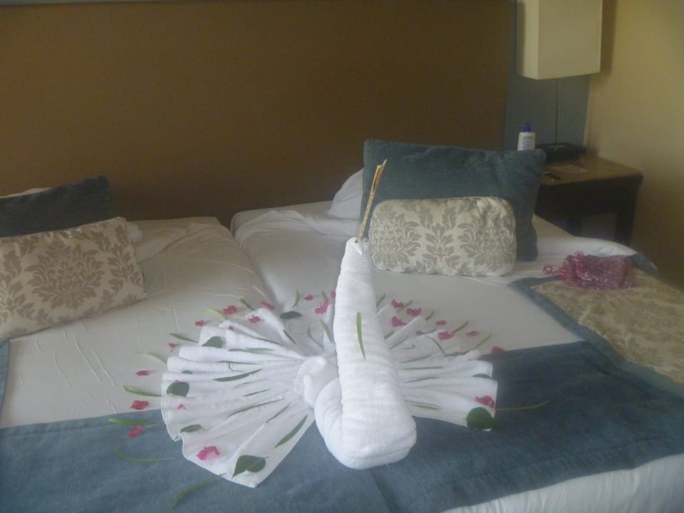 Paw JAZ Aquamarine Resort