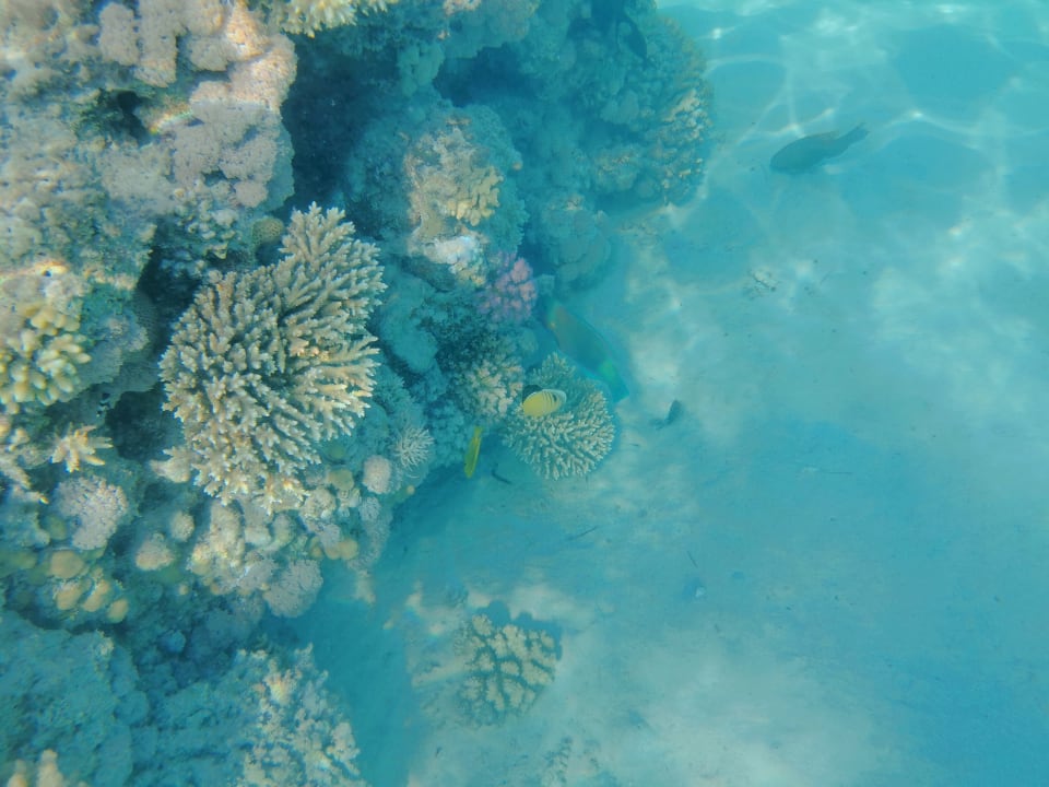 Sport & Freizeit Shams Prestige Abu Soma-Adults Only