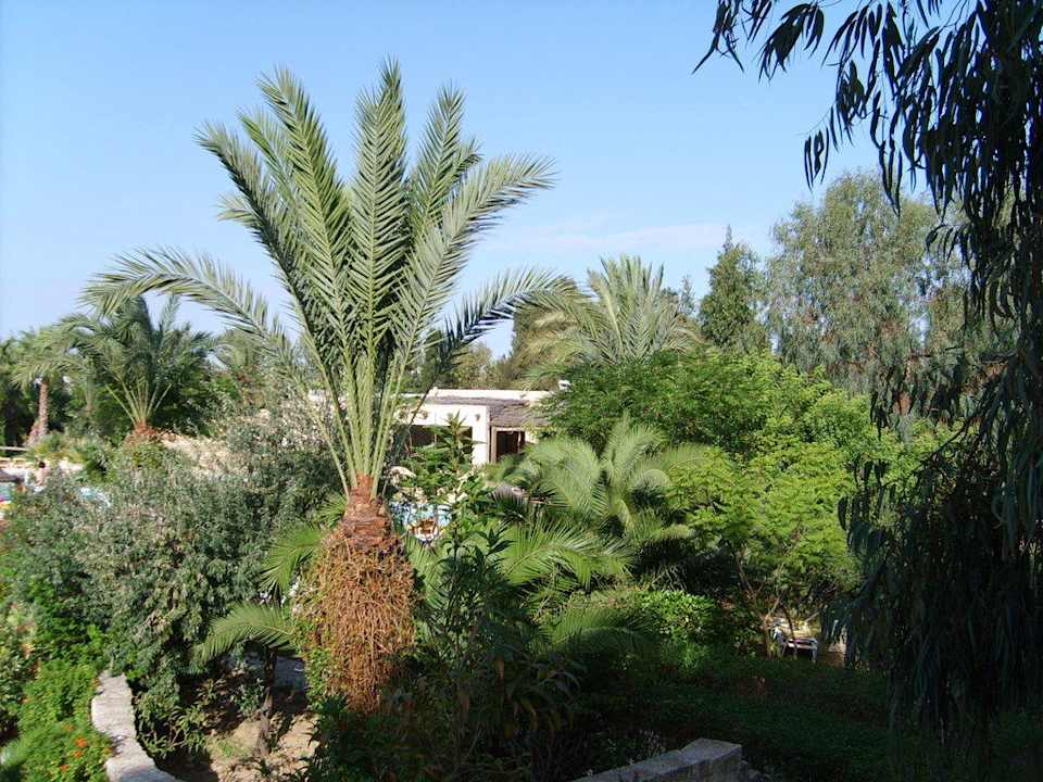 Garten Hotel Chich Khan