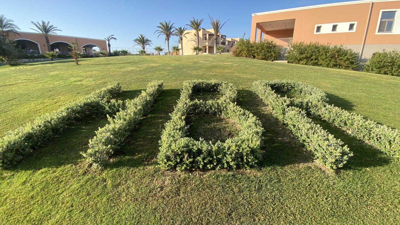 Gartenanlage Hotel Horizon Beach Resort