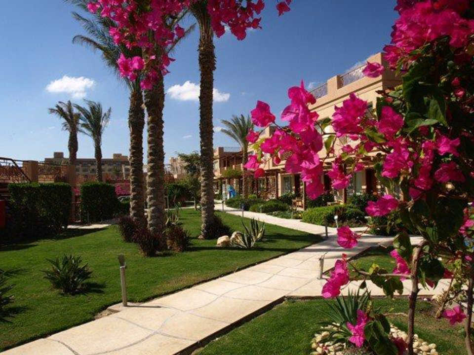 Gepflegte Gartenlandschaft Shams Prestige Abu Soma-Adults Only