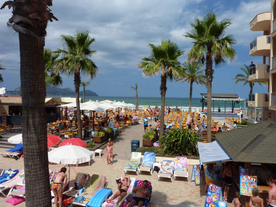 Blick über Poollandschaft bis hin zum Strand Grupotel Alcudia Pins