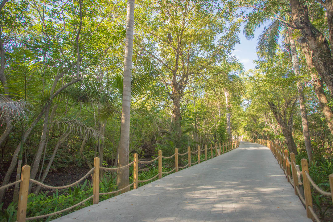 Gartenanlage Princess Family Club Bávaro