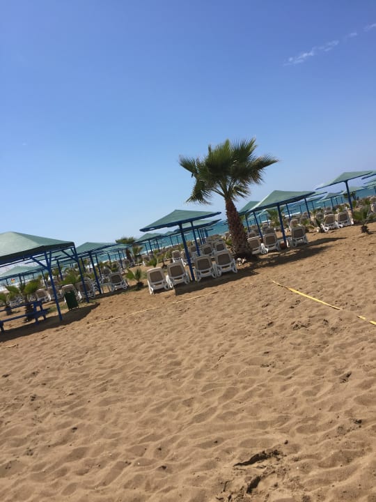 Strand Paloma Oceana