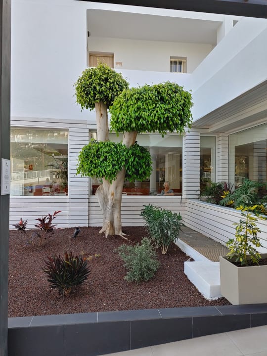 Außenansicht Sol Fuerteventura Jandia - All Suites