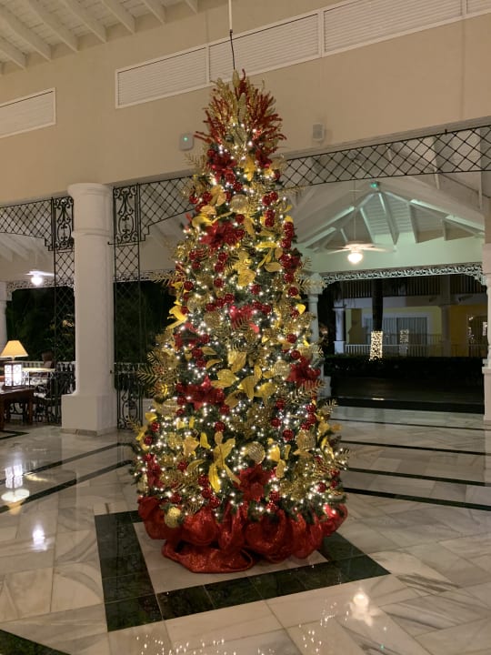 Lobby Bahia Principe Luxury Bouganville