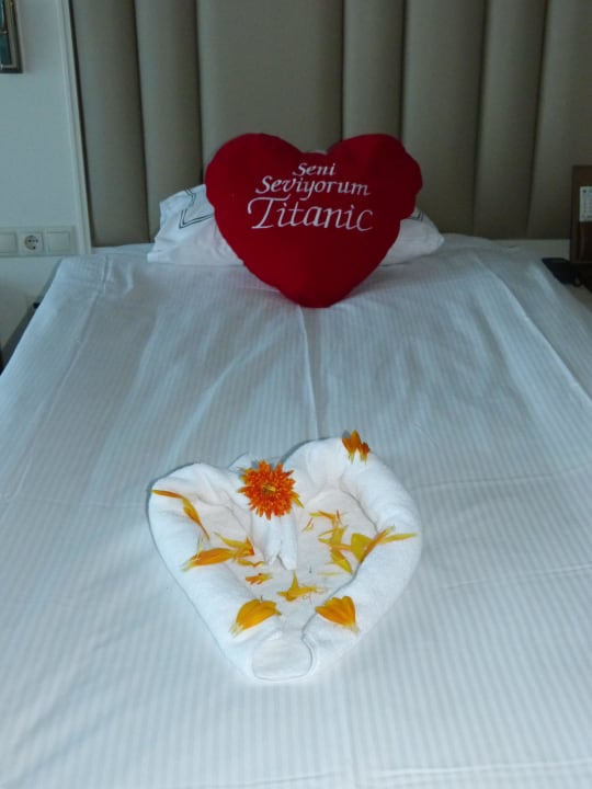 Service zum Geburtstag Titanic Deluxe Lara