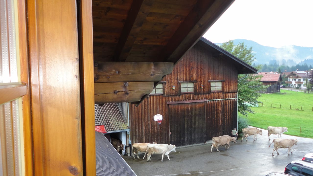 Stall-Eingang Ferienhof Brutscher