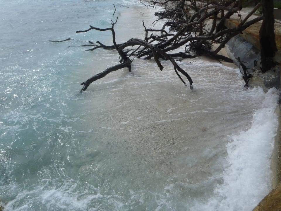 Raiyvilaa Bar (Sunsetbar) Cinnamon Dhonveli Maldives