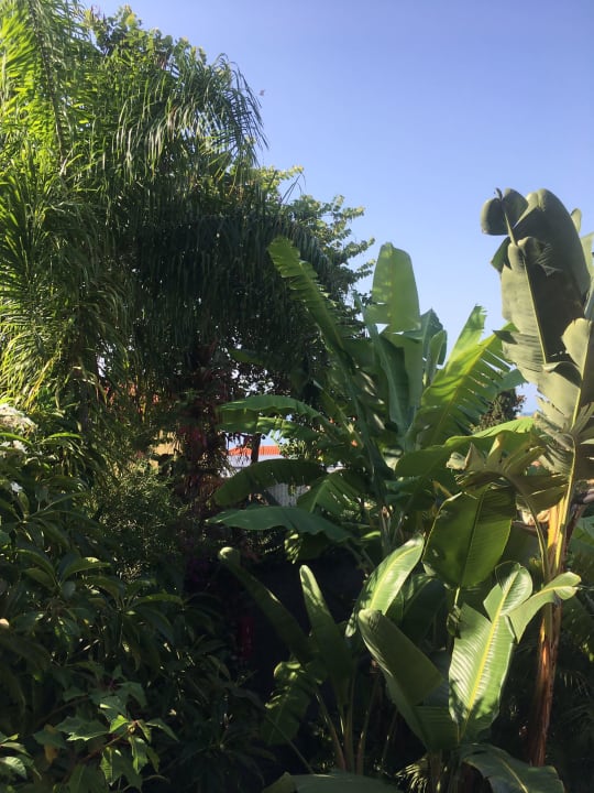 Garten Hotel Albergaria Dias