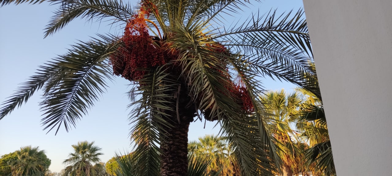 Außenansicht All Senses Ocean Blue Sea Side Resort & Spa