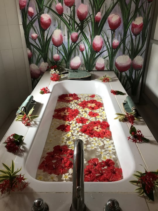 Zimmer Hotel Lanka Princess Ayurveda