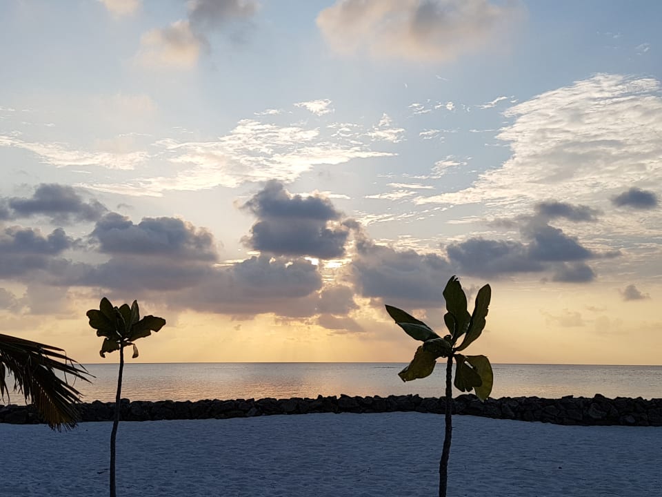 Strand Summer Island Maldives