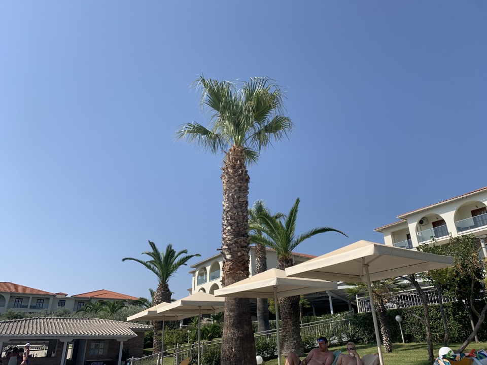 Außenansicht Akrathos Beach Hotel