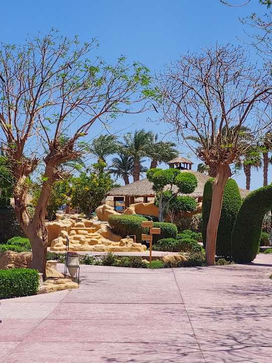 Gartenanlage Lotus Bay Beach Resort