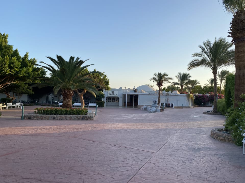 Gartenanlage Desert Rose