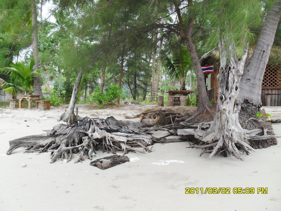 Klong Prao Beach bei Ebbe Santhiya Tree Koh Chang Resort