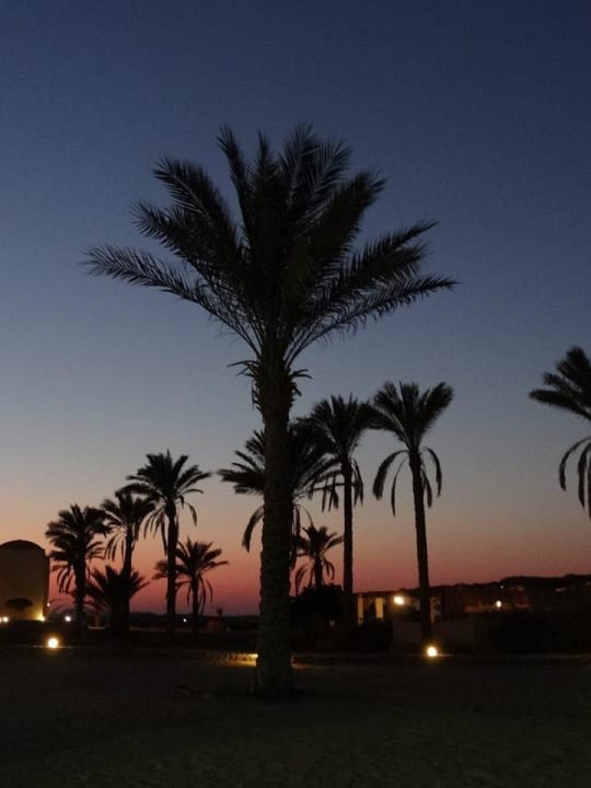 Depuis l'hotel entre la piscine et la mer Three Corners Sea Beach Resort