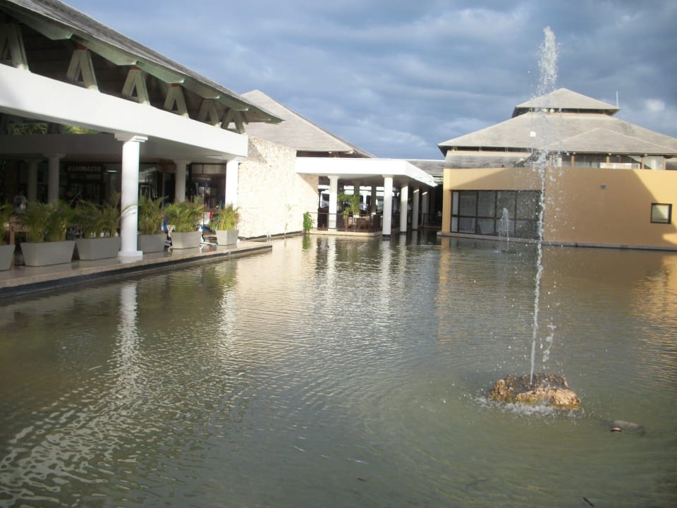 Bar, Lobby Catalonia Punta Cana - All Inclusive