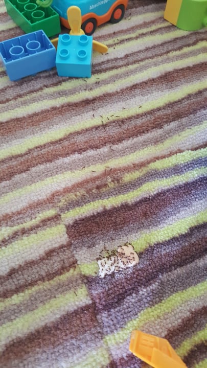 Zimmer Hotel Slavuna