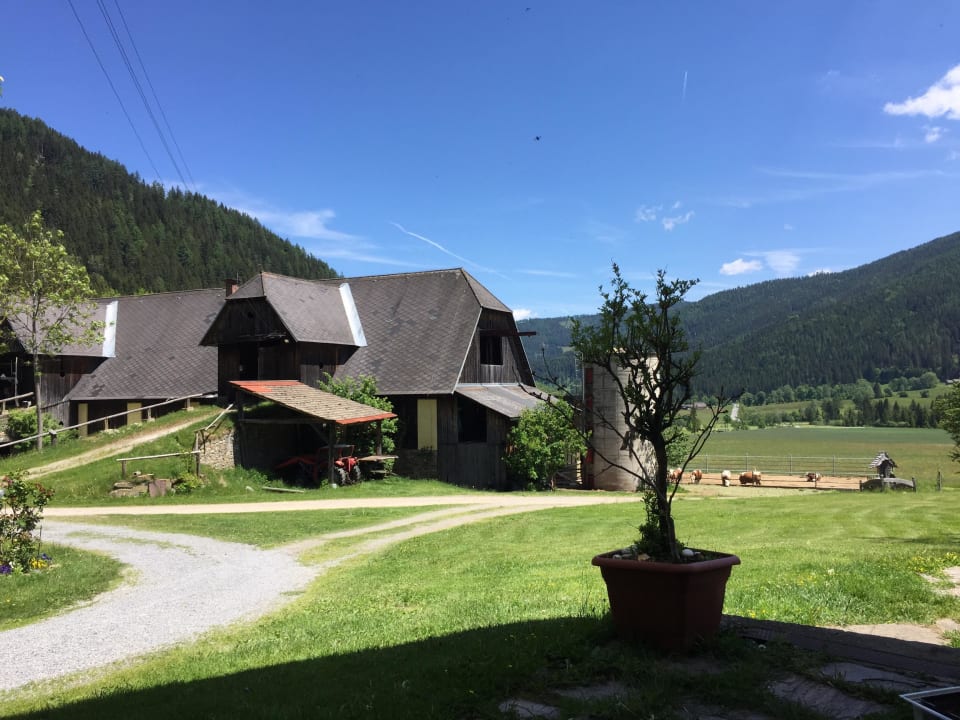 Gullyhof Ferienwohnungen Gullyhof