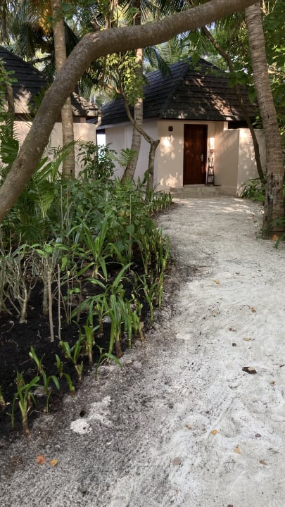 Außenansicht Summer Island Maldives