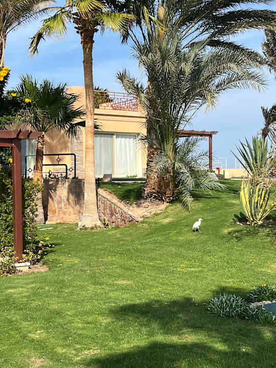 Außenansicht Shams Prestige Abu Soma-Adults Only