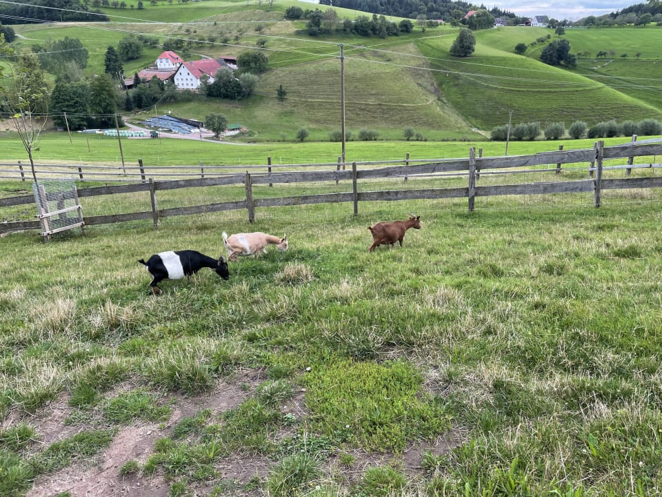 Sonstiges Ferienwohnungen Grub-Daniel-Hof