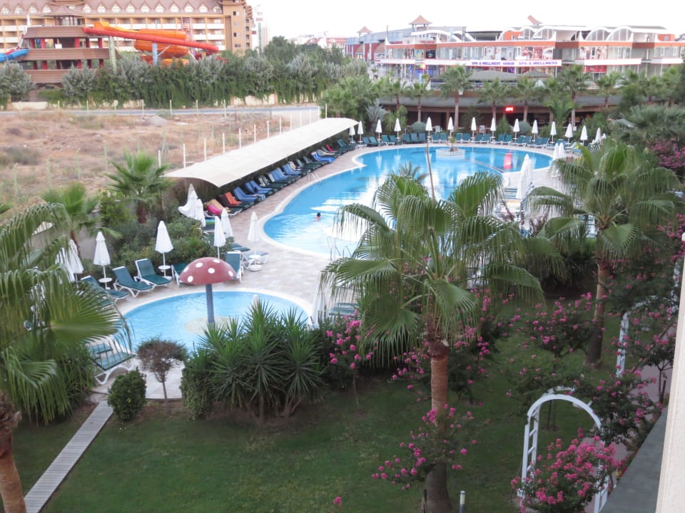 Unser Animationspool Calimera Hane Garden