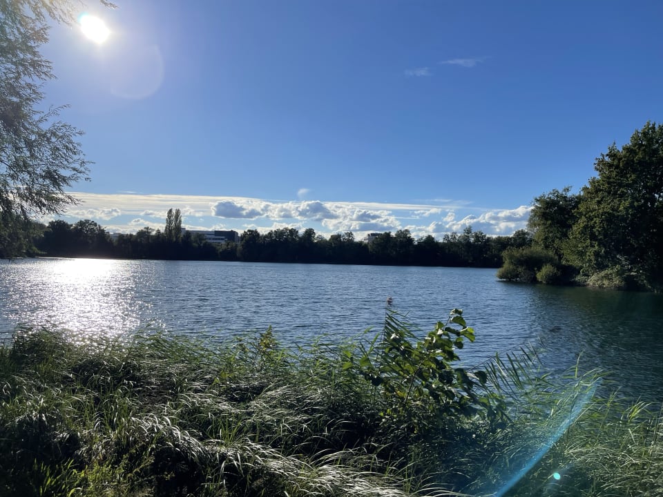 Ausblick See Park Janssen