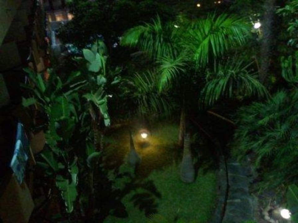 Gartenanlage allsun Hotel Lucana