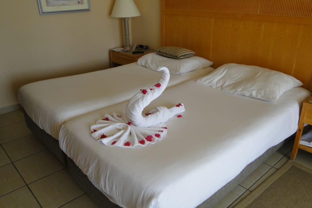 Zimmer Hotel JAZ Makadi Star & Spa