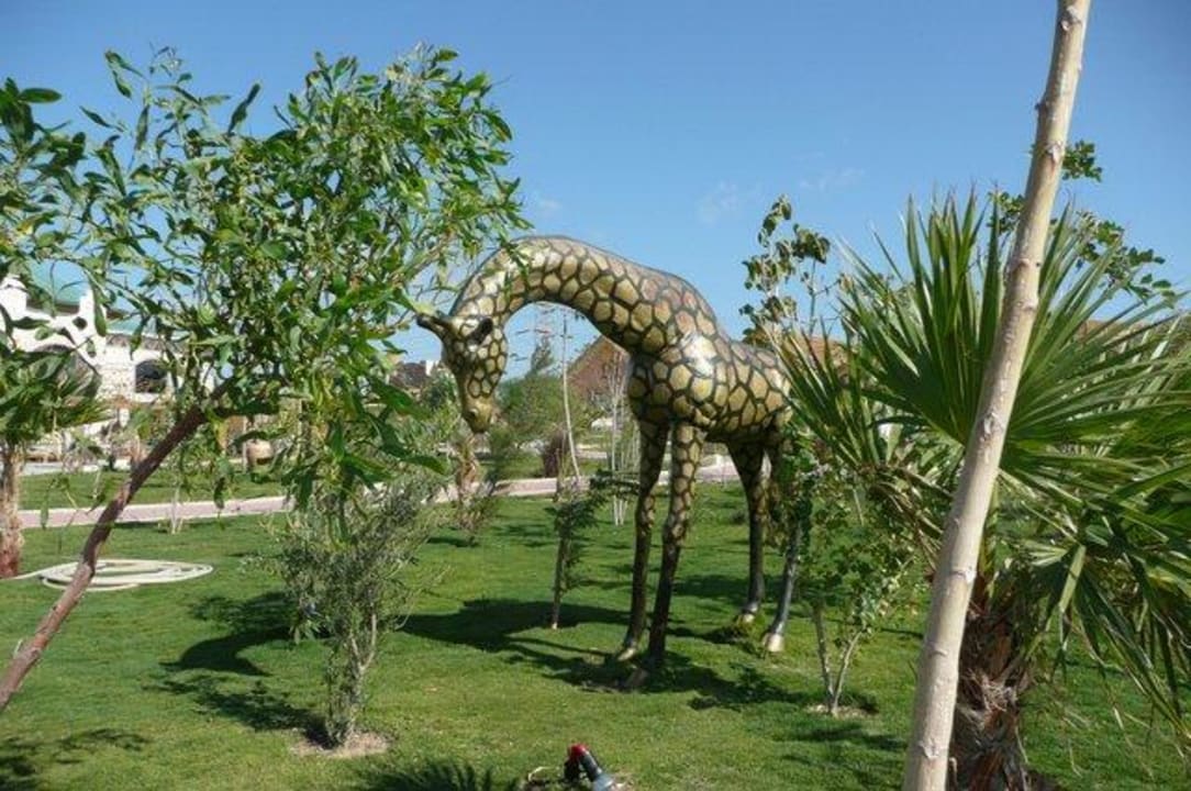 Große Tiere im Jungle Park  Pickalbatros Jungle Aqua Park Resort - Neverland Hurghada
