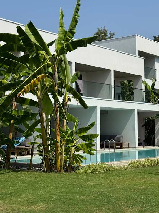 Außenansicht Paloma Finesse