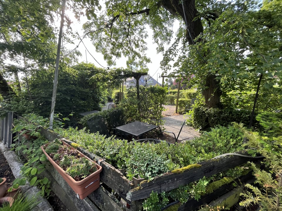 Gartenanlage Landhotel Lechstedter Obstweinschänke