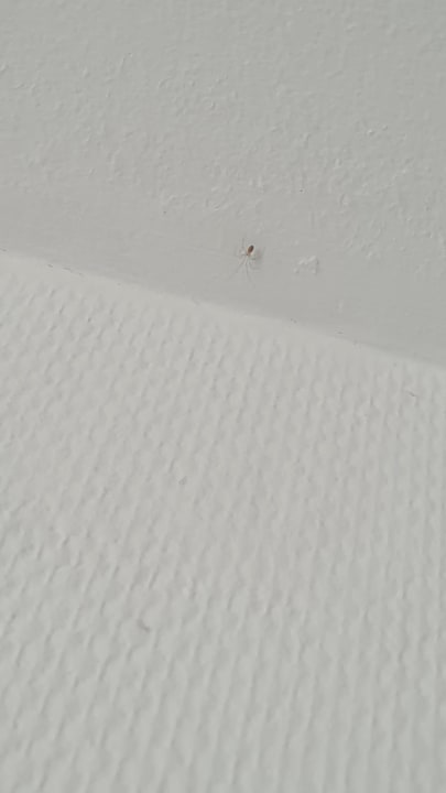 Zimmer Zum Obstler - Gaststätte und Pension