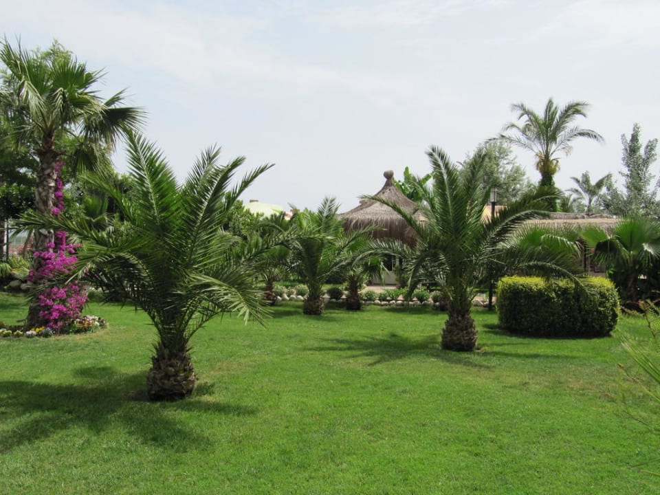 Sehr gepflegter Garten Belek Beach Resort Hotel