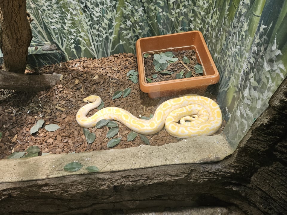 Sport & Freizeit Ferienwohnungen Ferienpark Weissenhäuser Strand