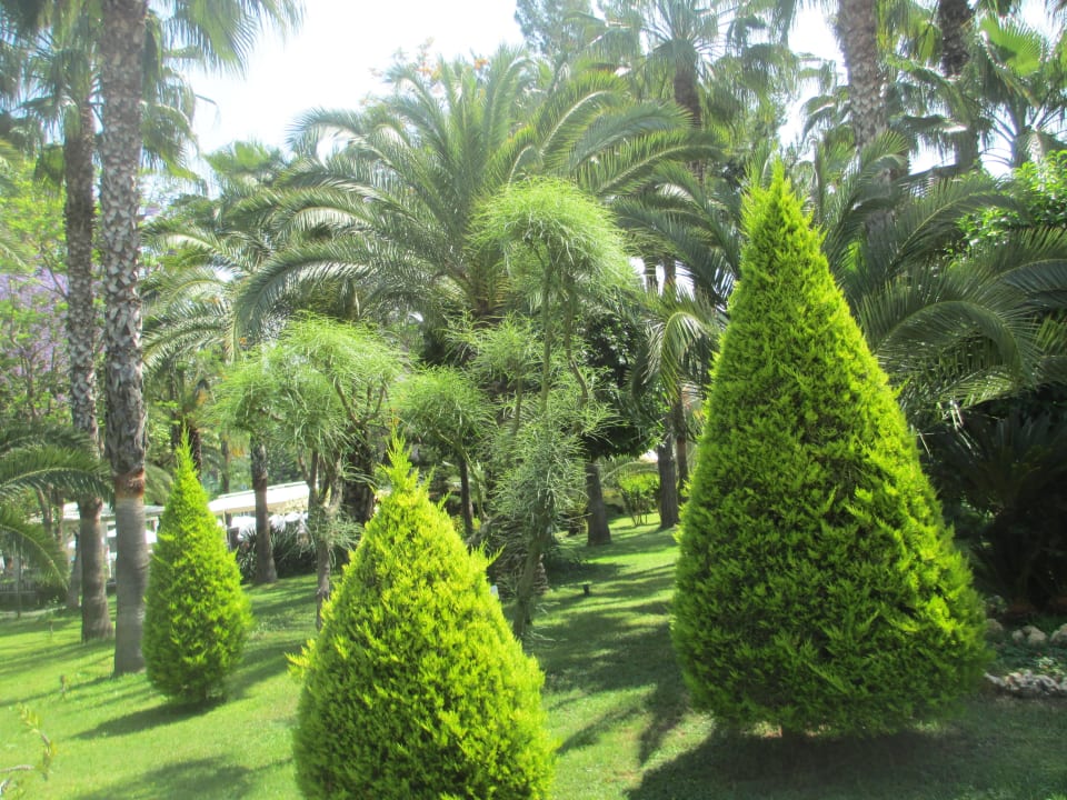 Сад Botanik Hotel & Resort