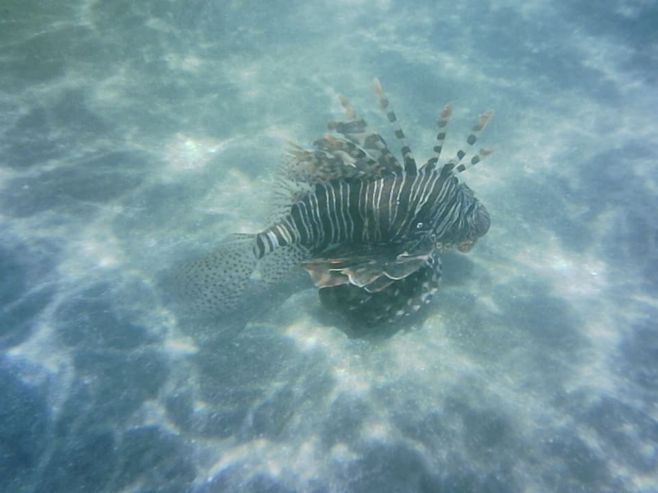 Sport & Freizeit Brayka Bay Resort