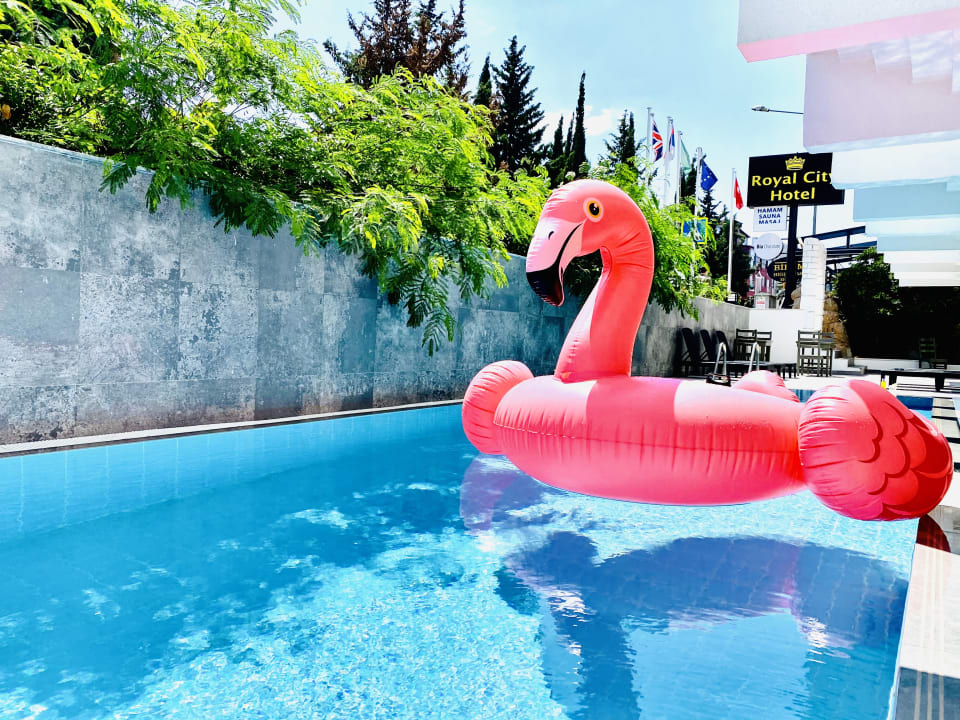 Pool Royal City Hotel