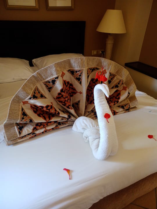 Zimmer Steigenberger Coraya Beach - Adults only