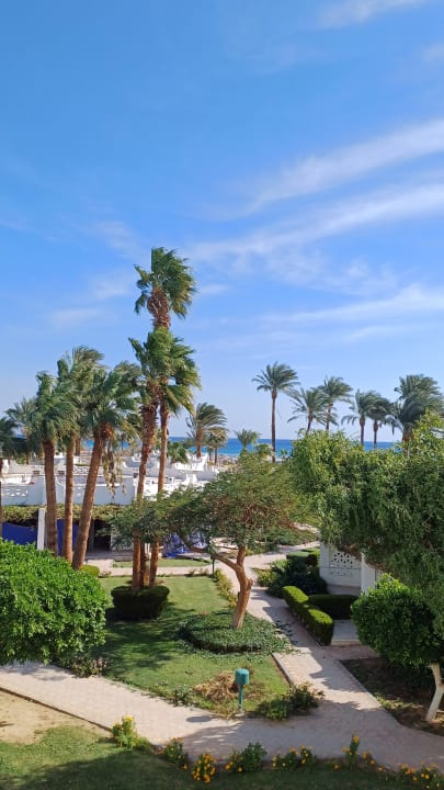 Gartenanlage Shams Safaga Resort