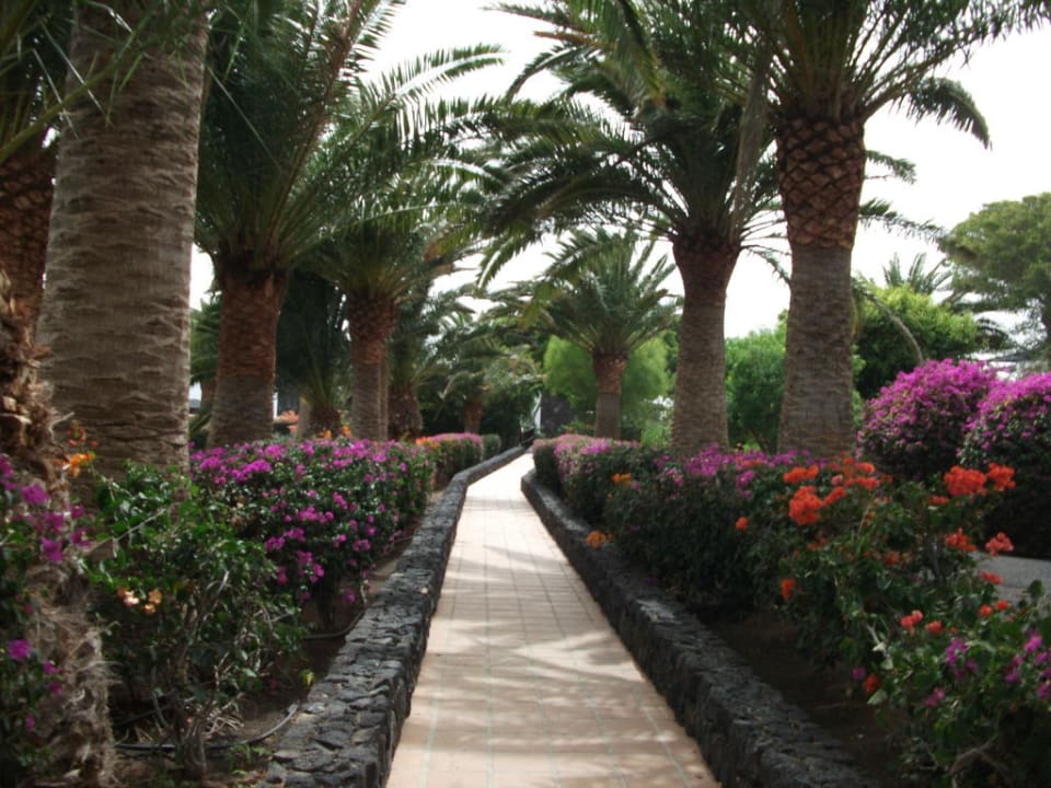 Weg zum Pool Relaxia Olivina